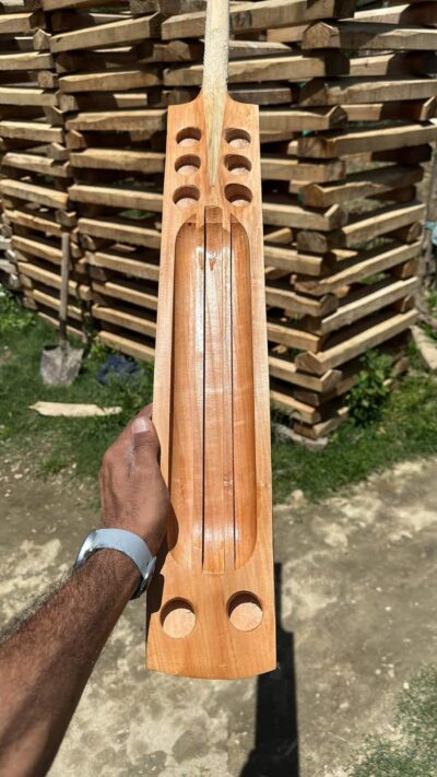 Kashmir Willow Double blade